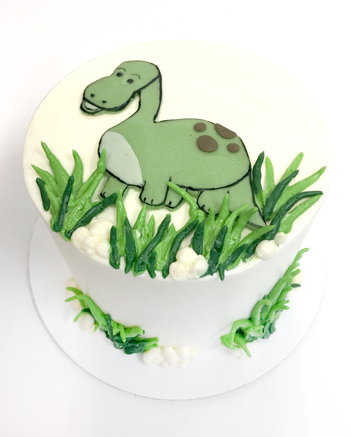 Dinosaur buttercream drawing.jpg