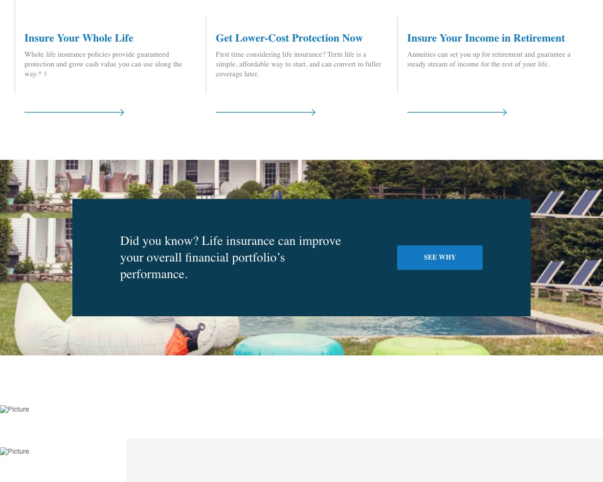 screencapture-web-archive-org-web-20161029223954-https-www-newyorklife-com-products-insure-2019-07-17-18_06_32.png