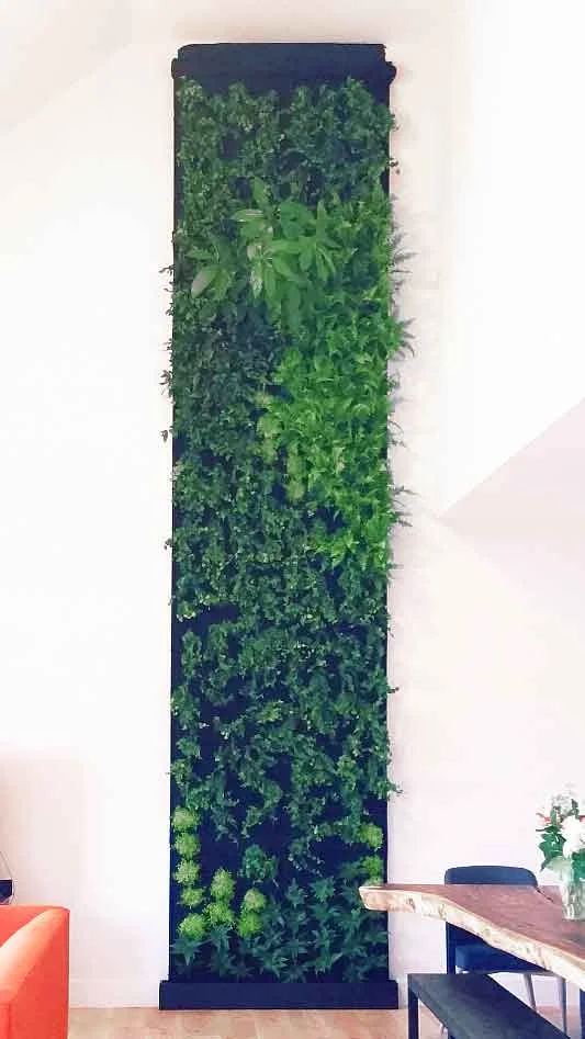 Vertical garden in a private residence