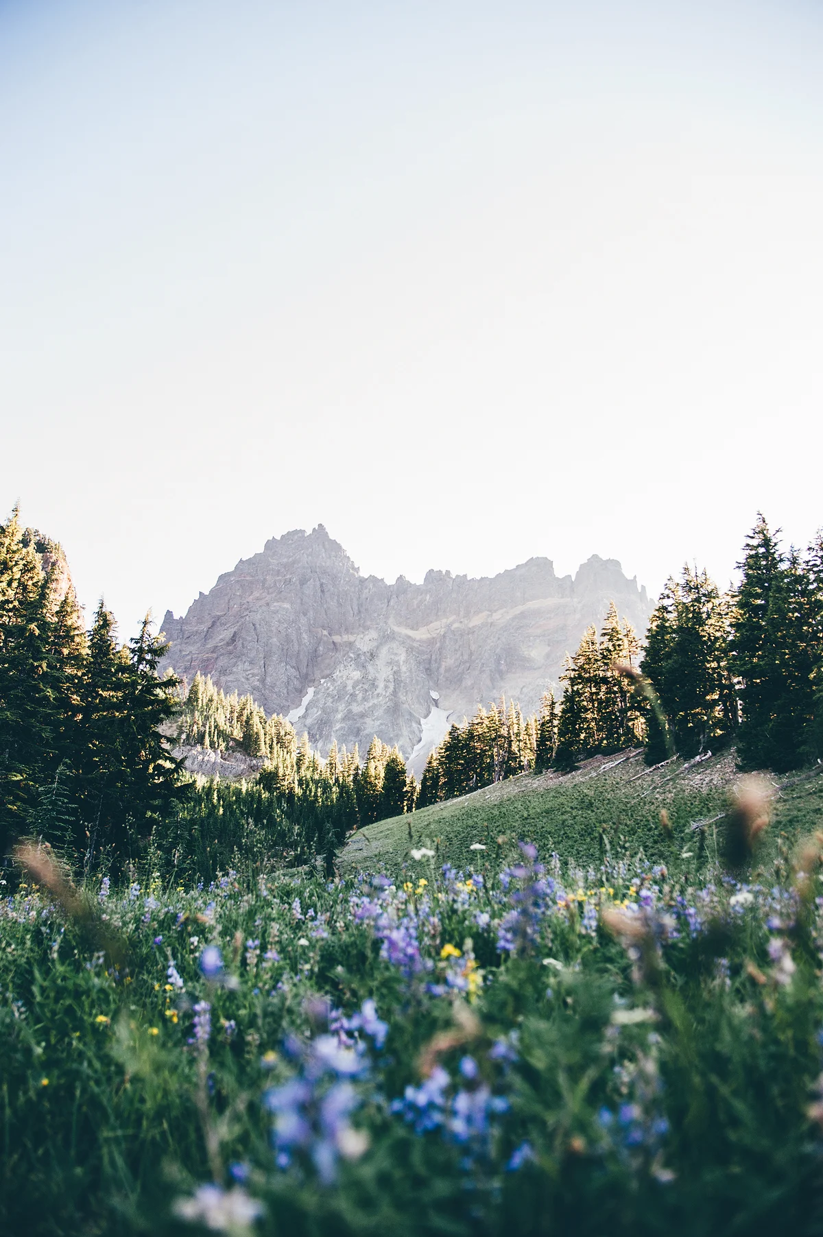 mountains.jpg