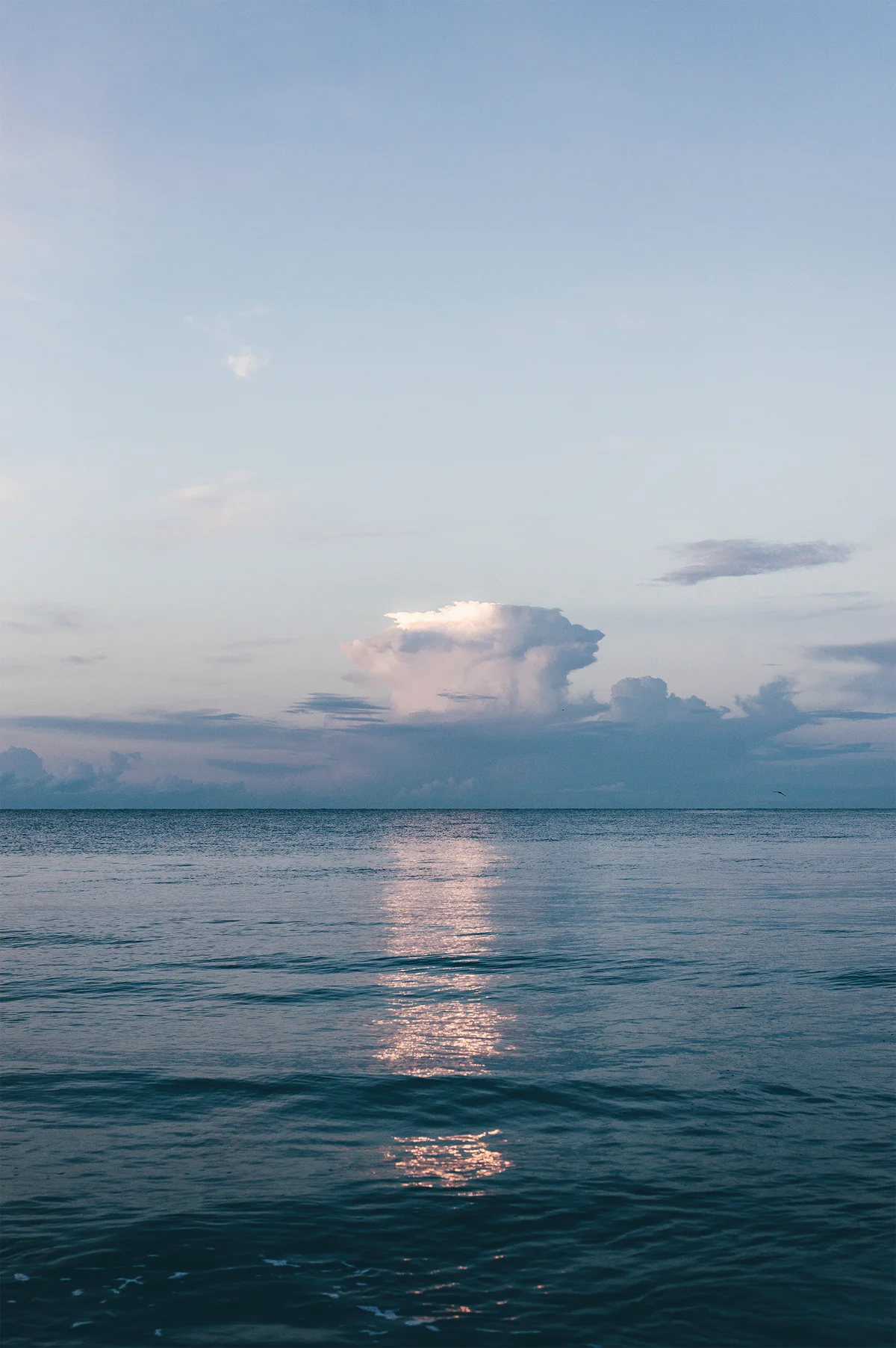 _DSC7573.jpg