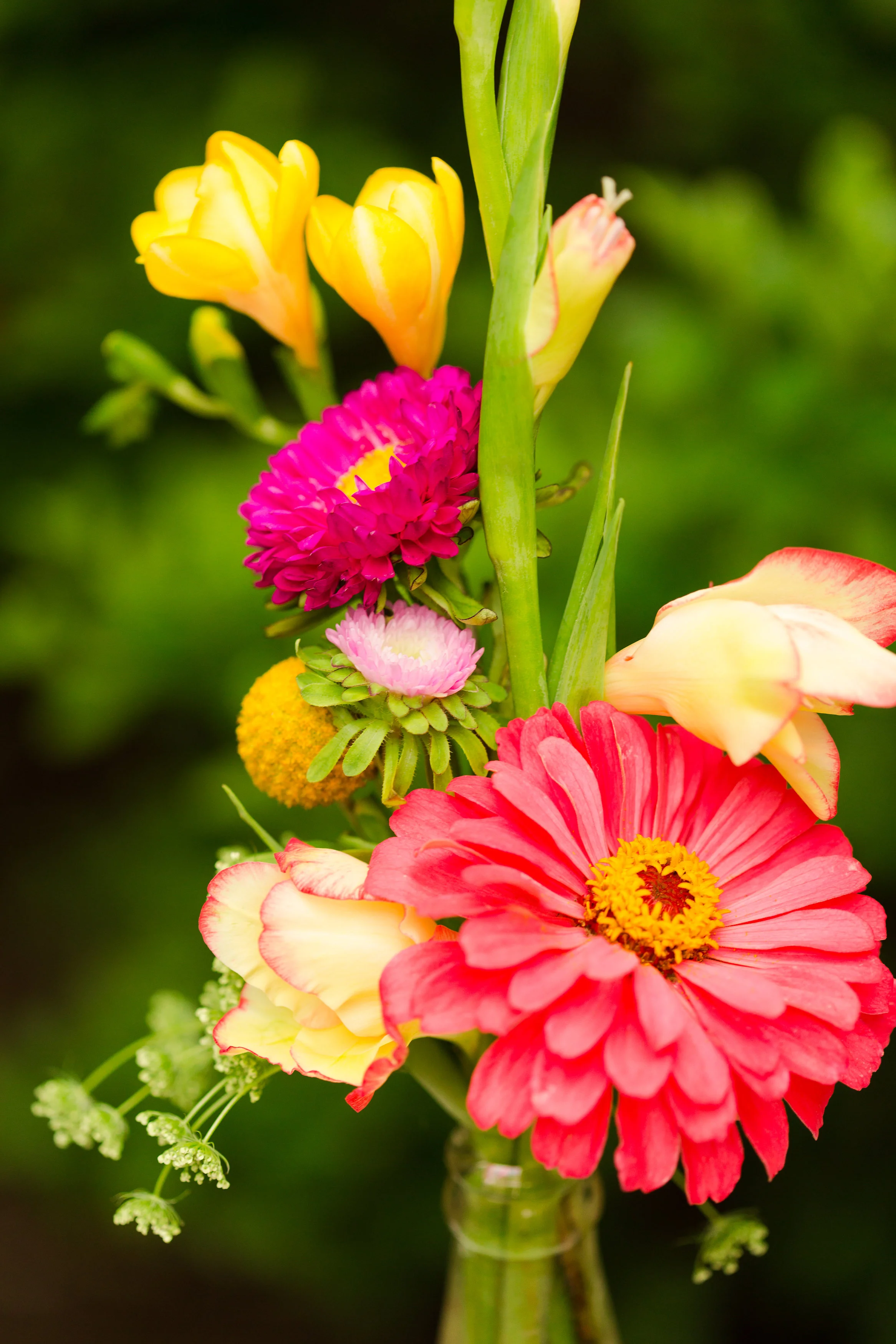 OurQuirkyLove-53.jpg