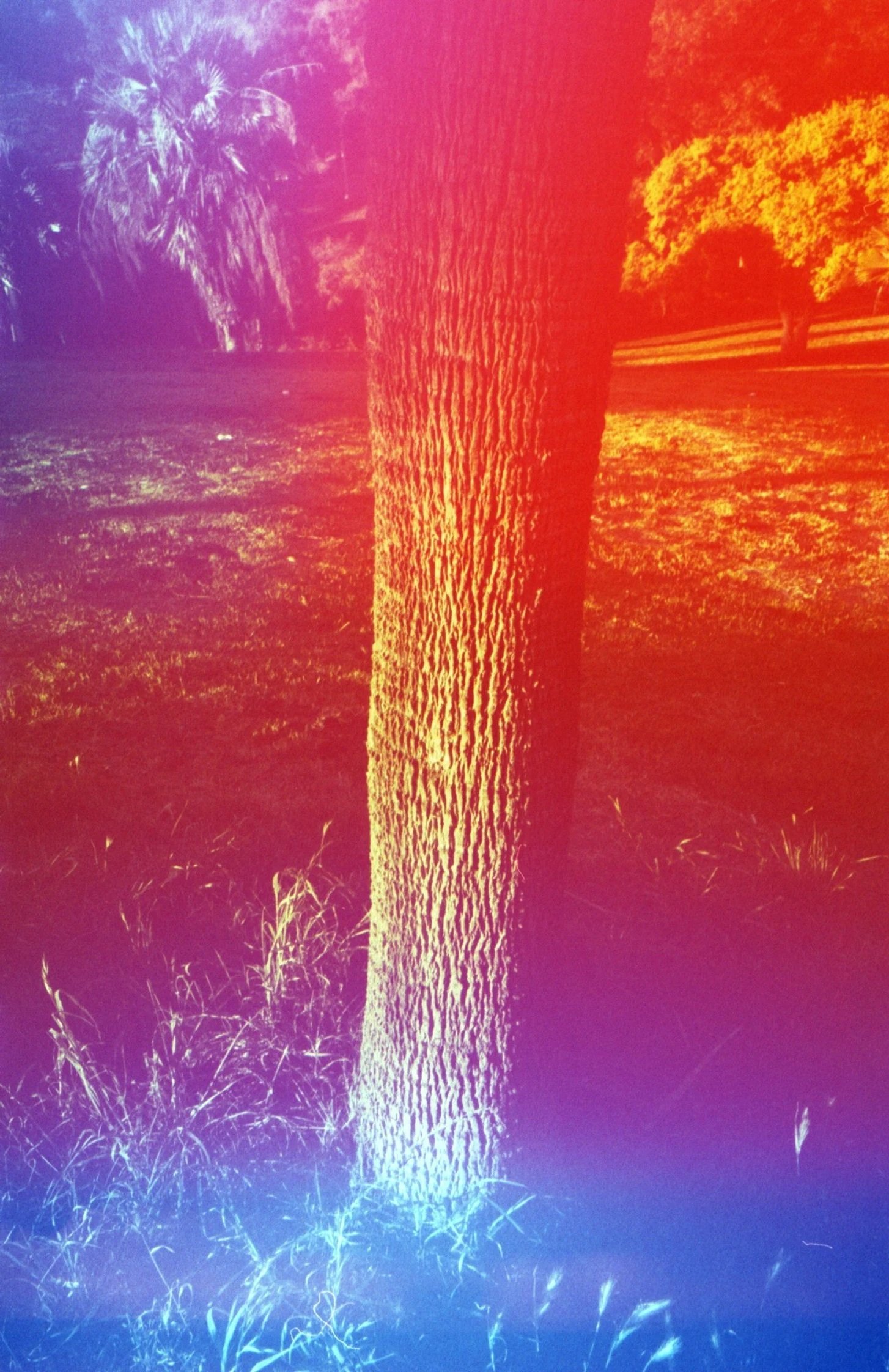 img20260418_22305930.jpg