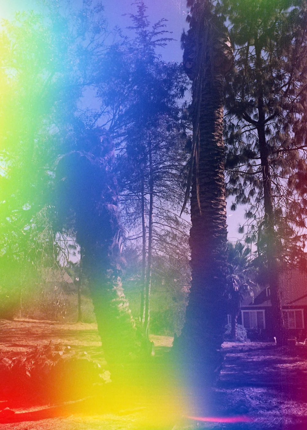 Psych Blues #4, pre-exposed 35mm film image of an LA park