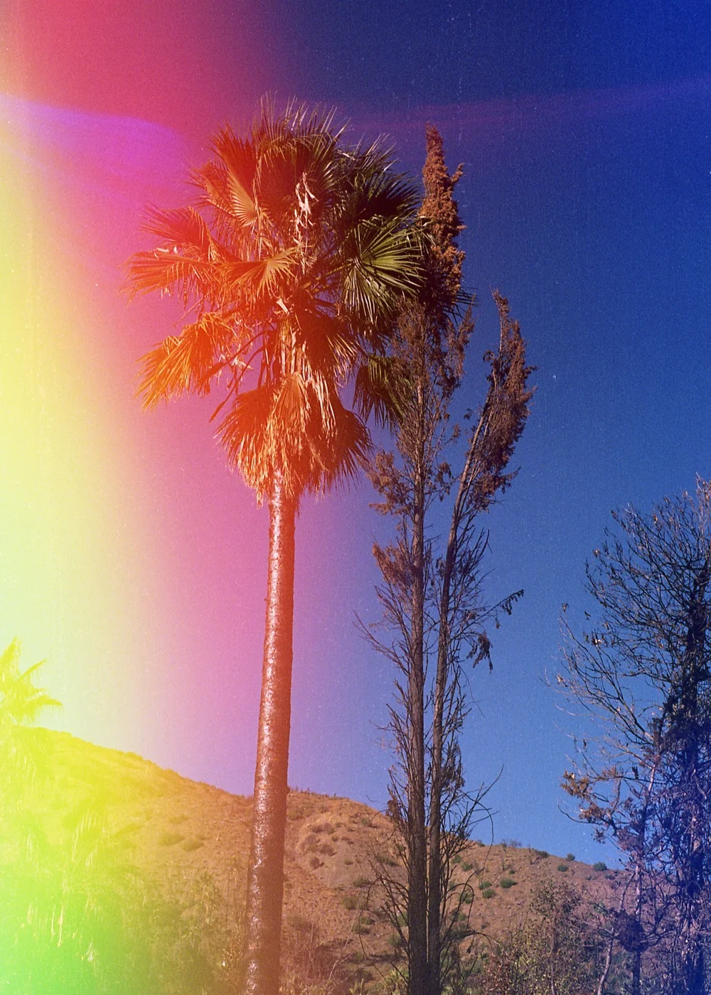 Psych Blues #4 pre-exposed 35mm experimental film photo of a California park