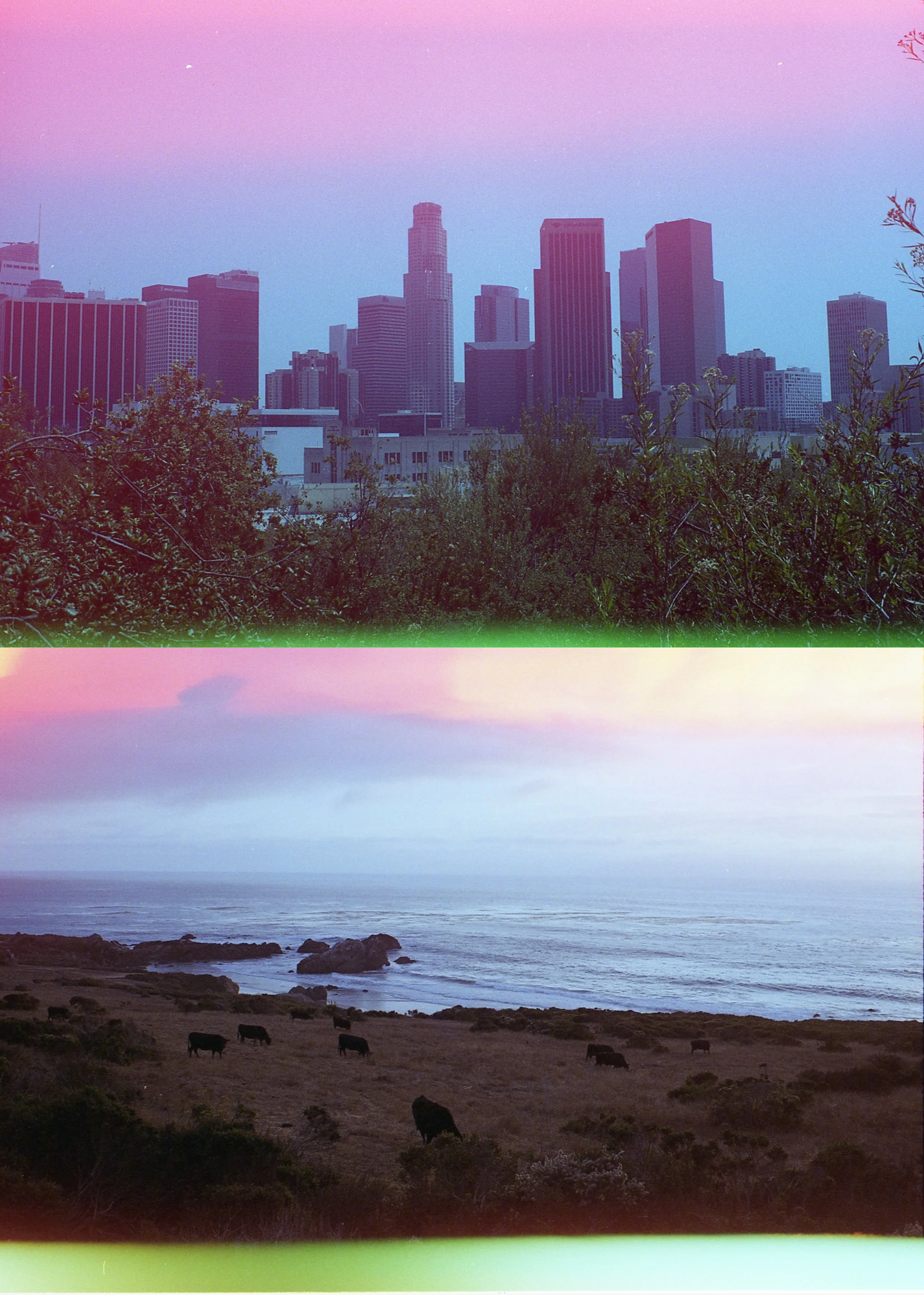 The city and the sea shot on Psych Blues 2, an experimental film stock