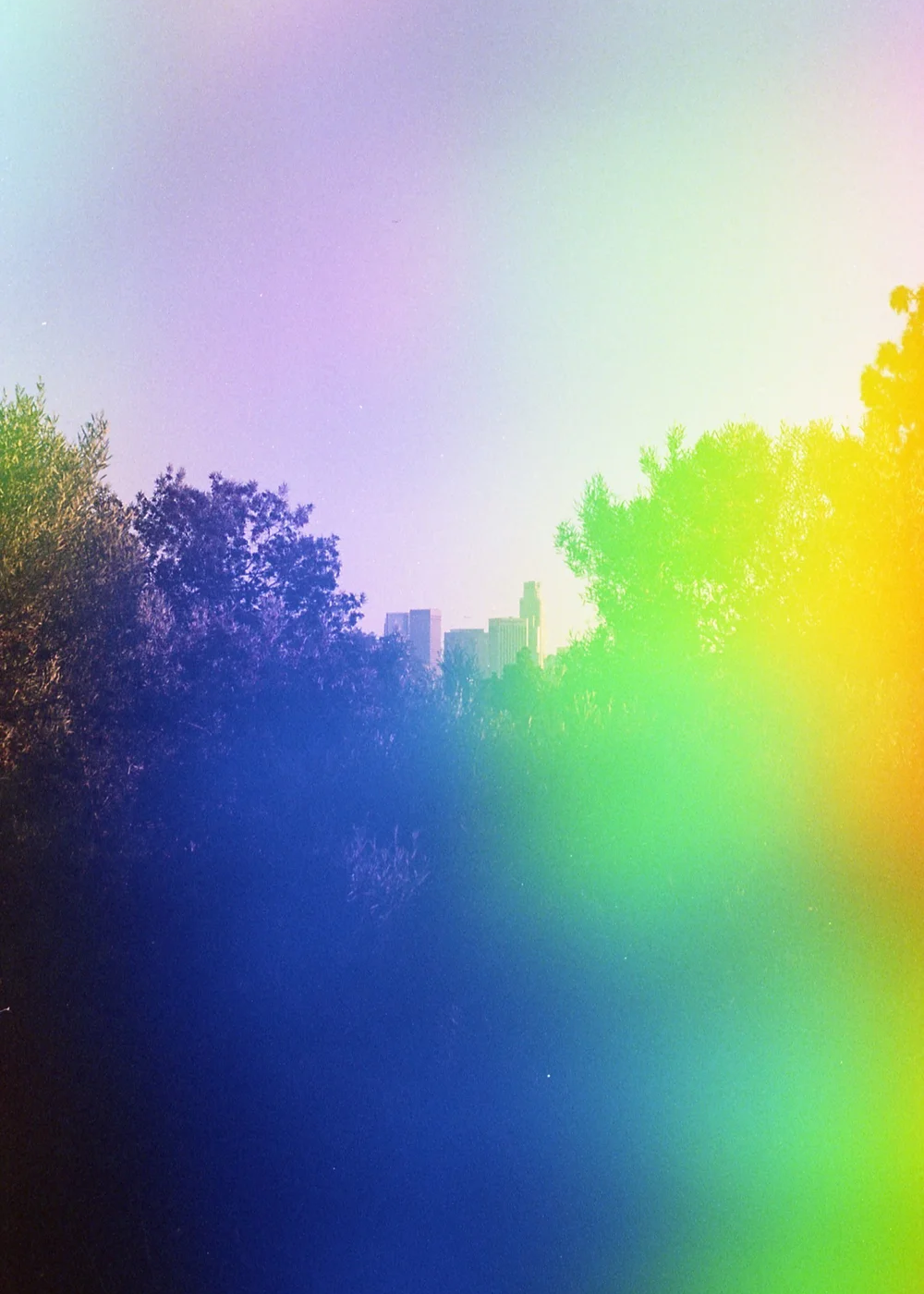 Group of trees shot on Psych Blues 4, an experimental film stock