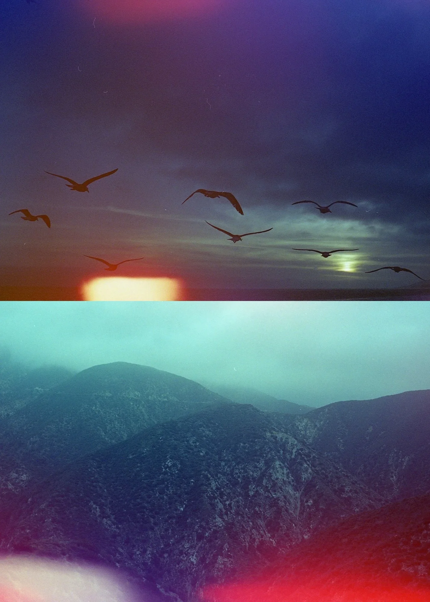 Psych Blues #3, pre-exposed 35mm film images of birds and mountains