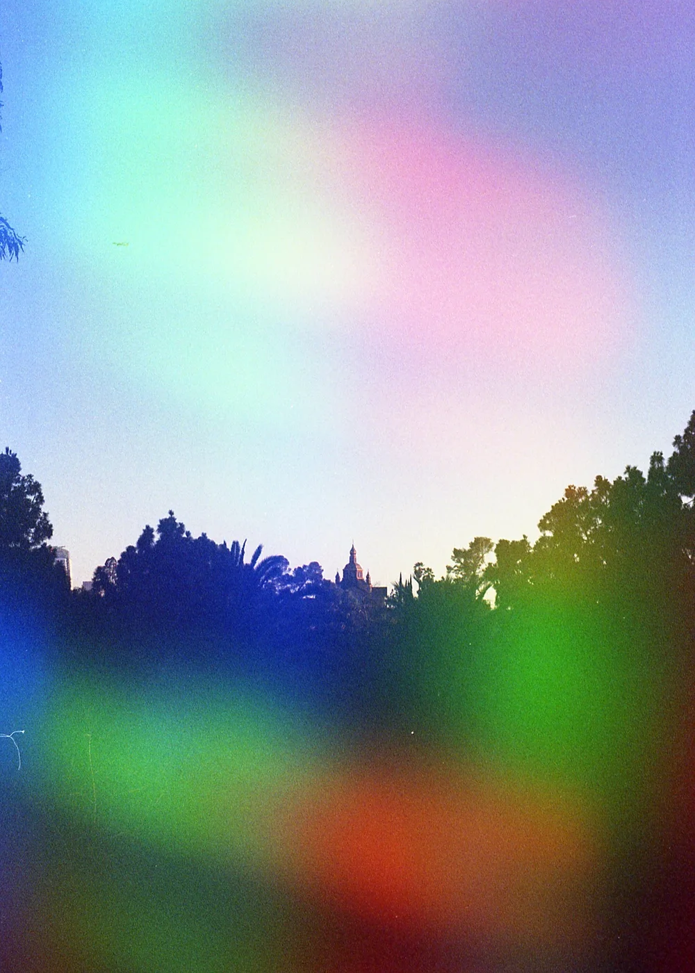 Psych Blues #4 pre-exposed 35mm experimental film photo of trees