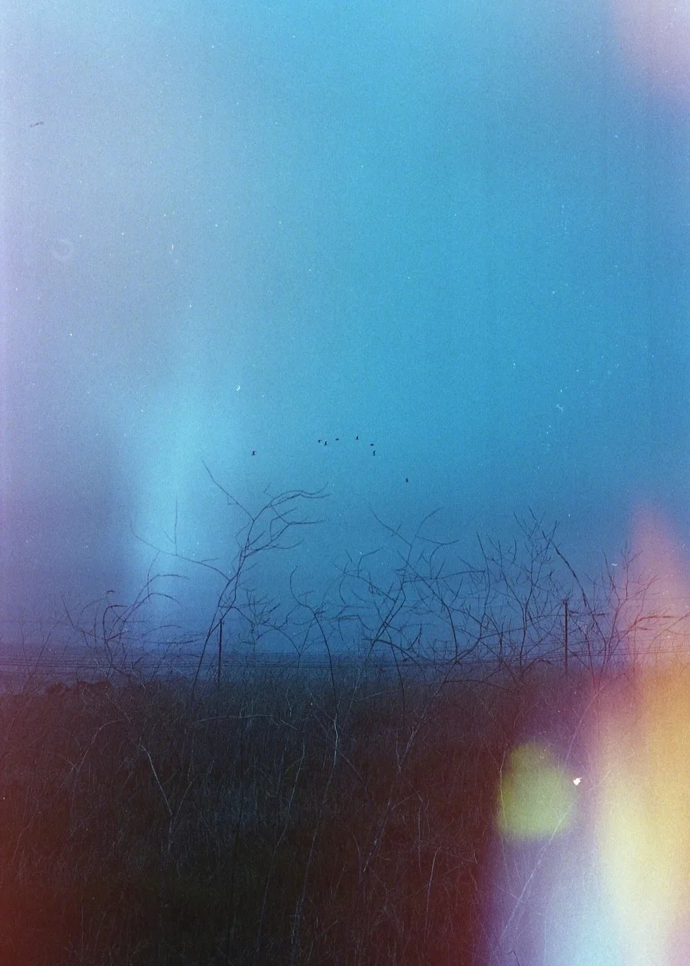 Psych Blues #3 pre-exposed 35mm experimental film photo of a foggy day