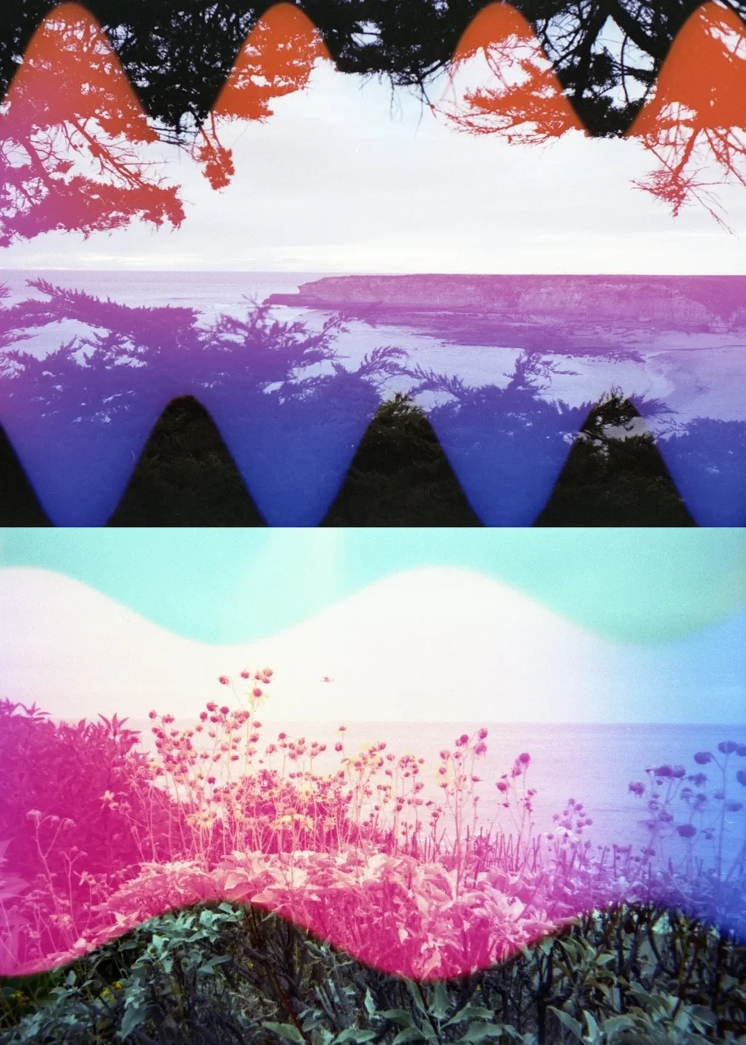 Sample photos of a unique experimental 35mm film