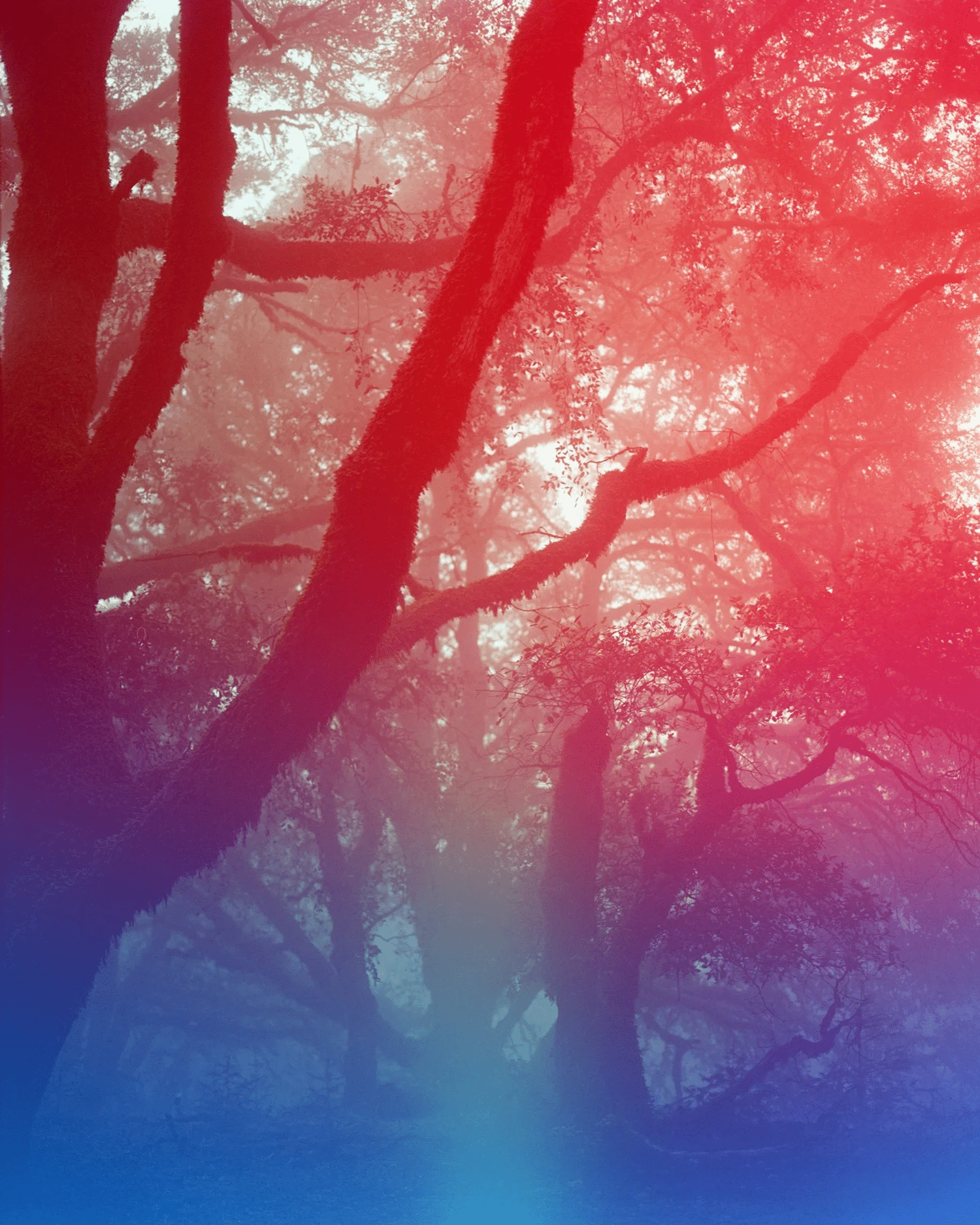 Psychedelic+Blues+A+120+experimental+film+_6.jpg.webp