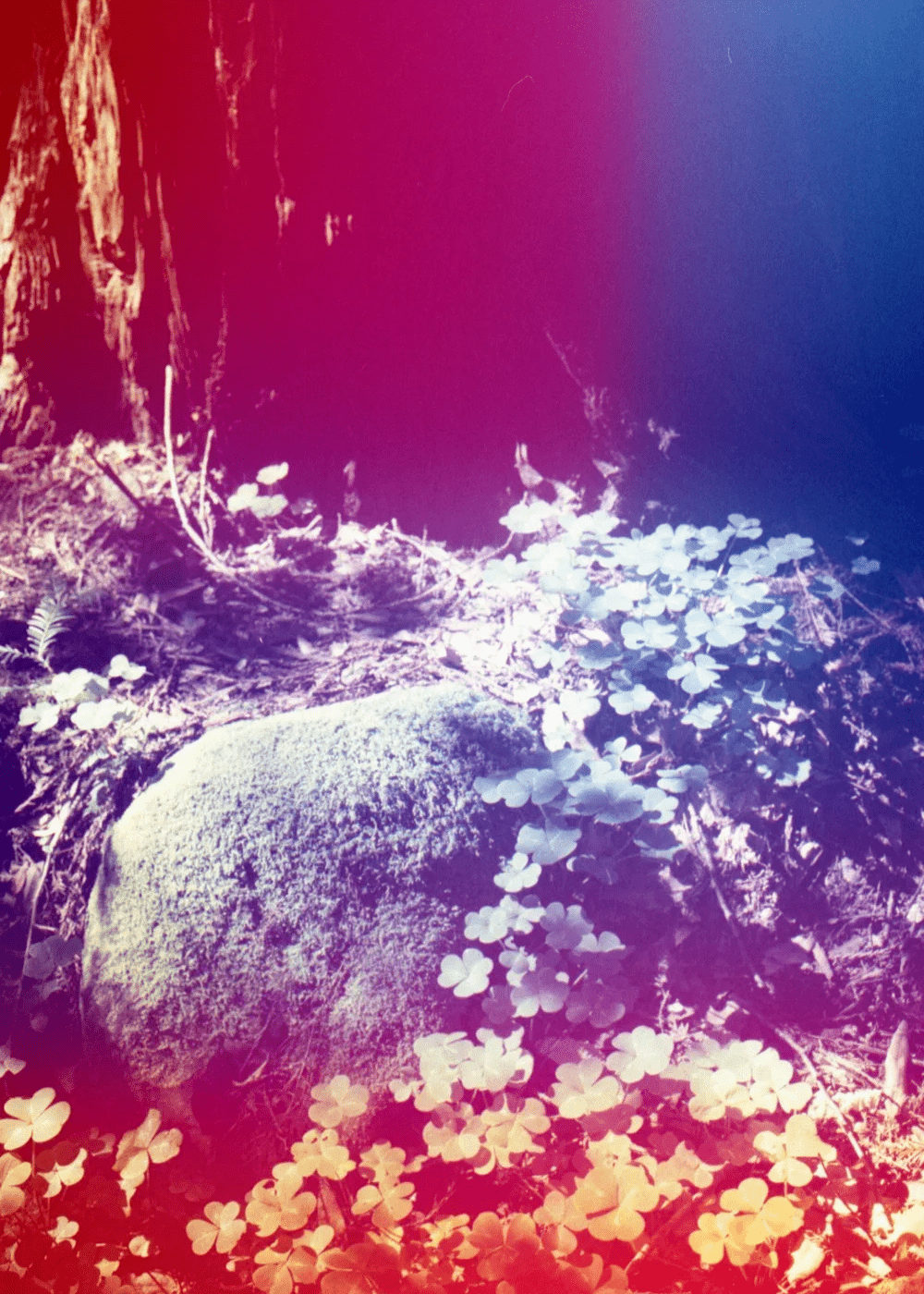 Psych Blues #8 pre-exposed 35mm experimental film photo of a rock