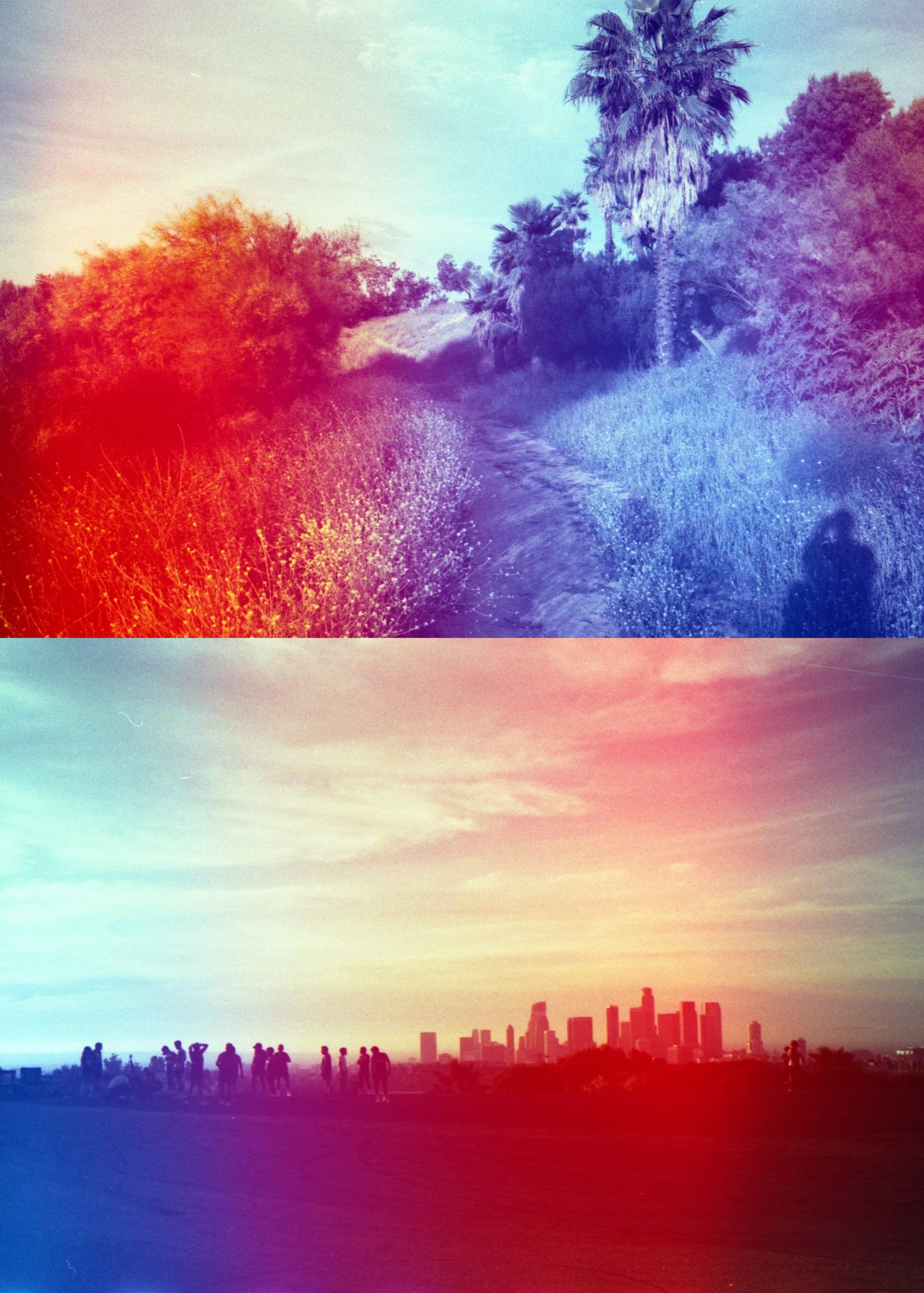 Psych Blues #8 pre-exposed 35mm experimental film photo of city and nature
