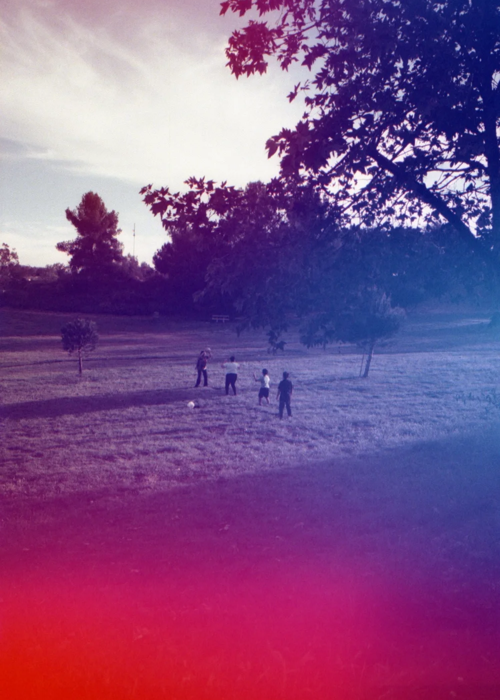 Psych Blues #8 pre-exposed 35mm experimental film photo of the park