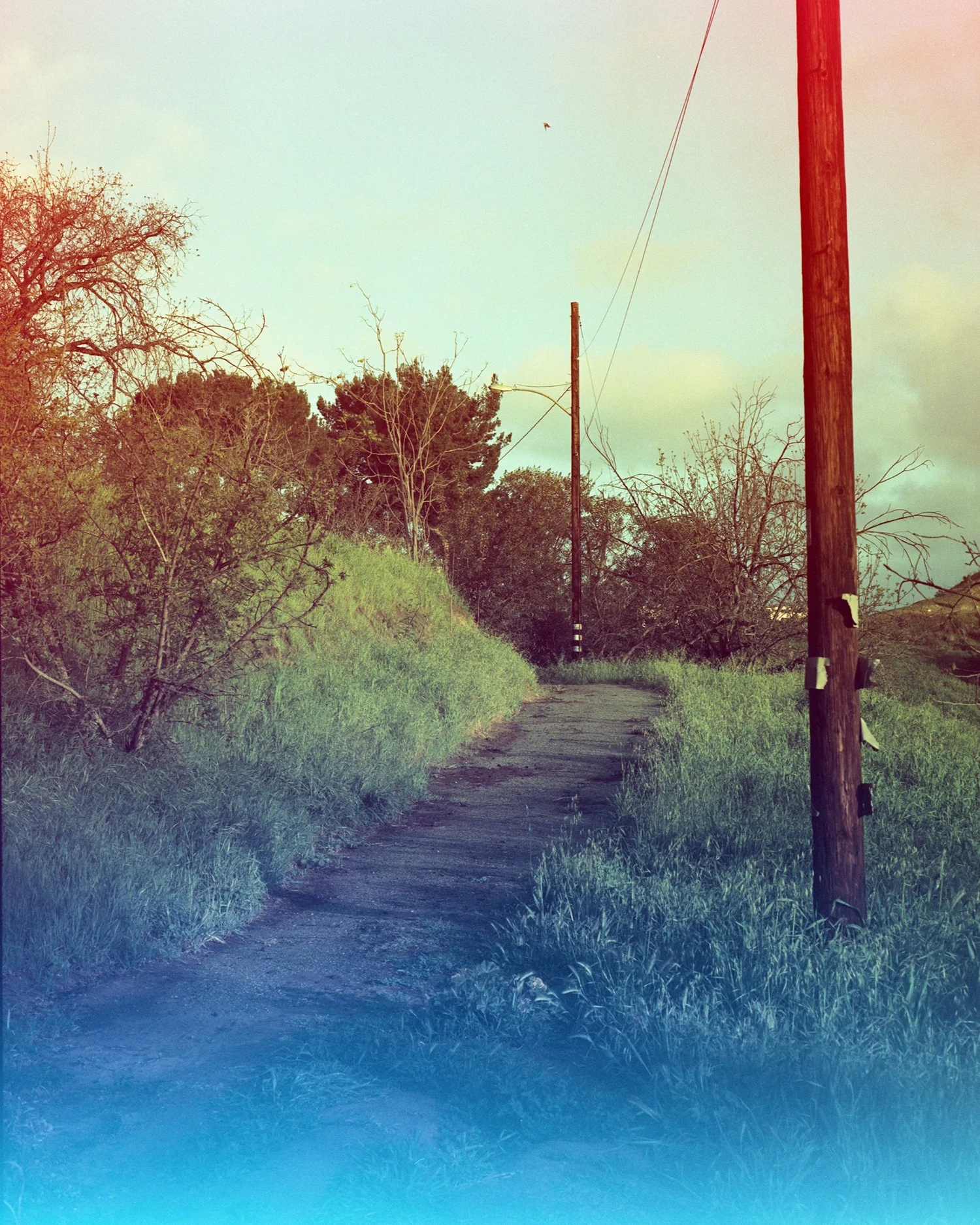 Psychedelic+Blues+A+120+experimental+film+_10.jpg.webp