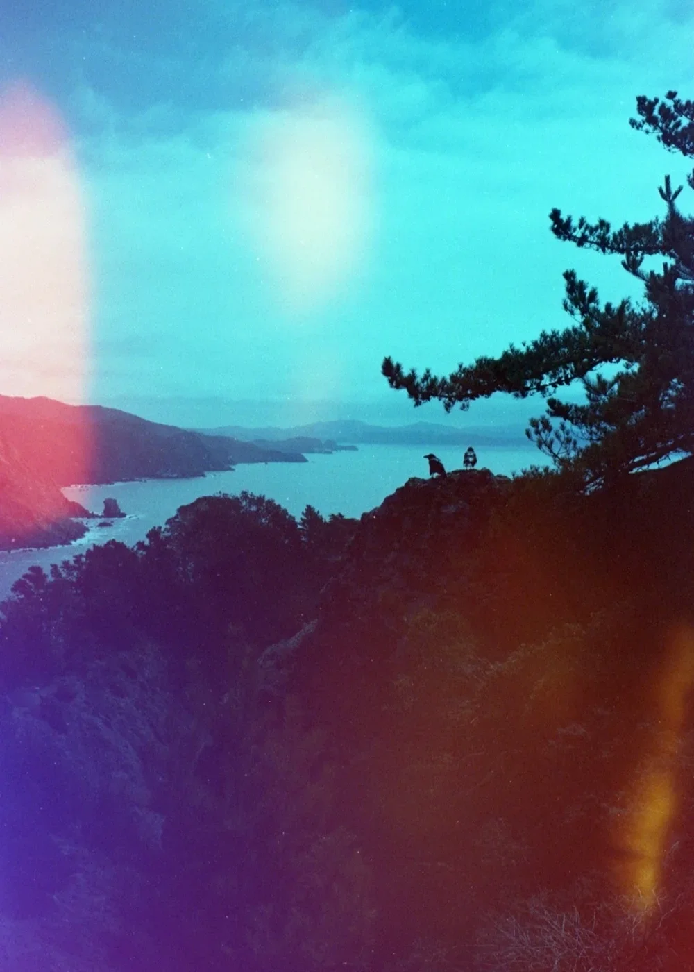 View from the top shot on Psych Blues 3, an experimental film stock