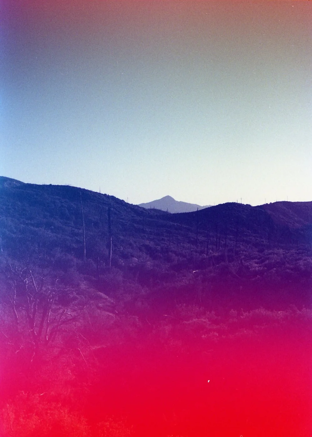 Hiking trail shot on Psych Blues 6, an experimental film stock