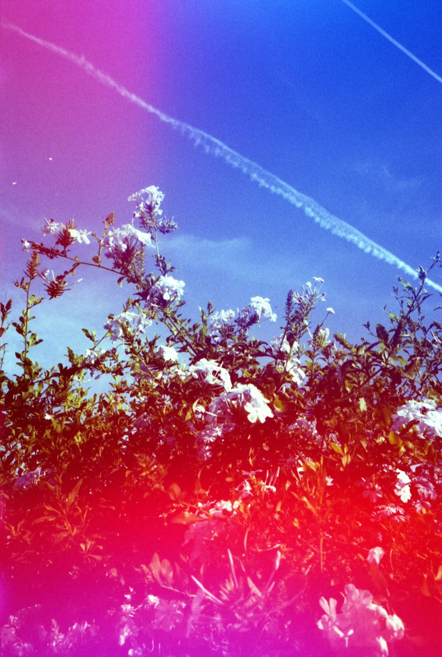 img20260417_21403277.jpg