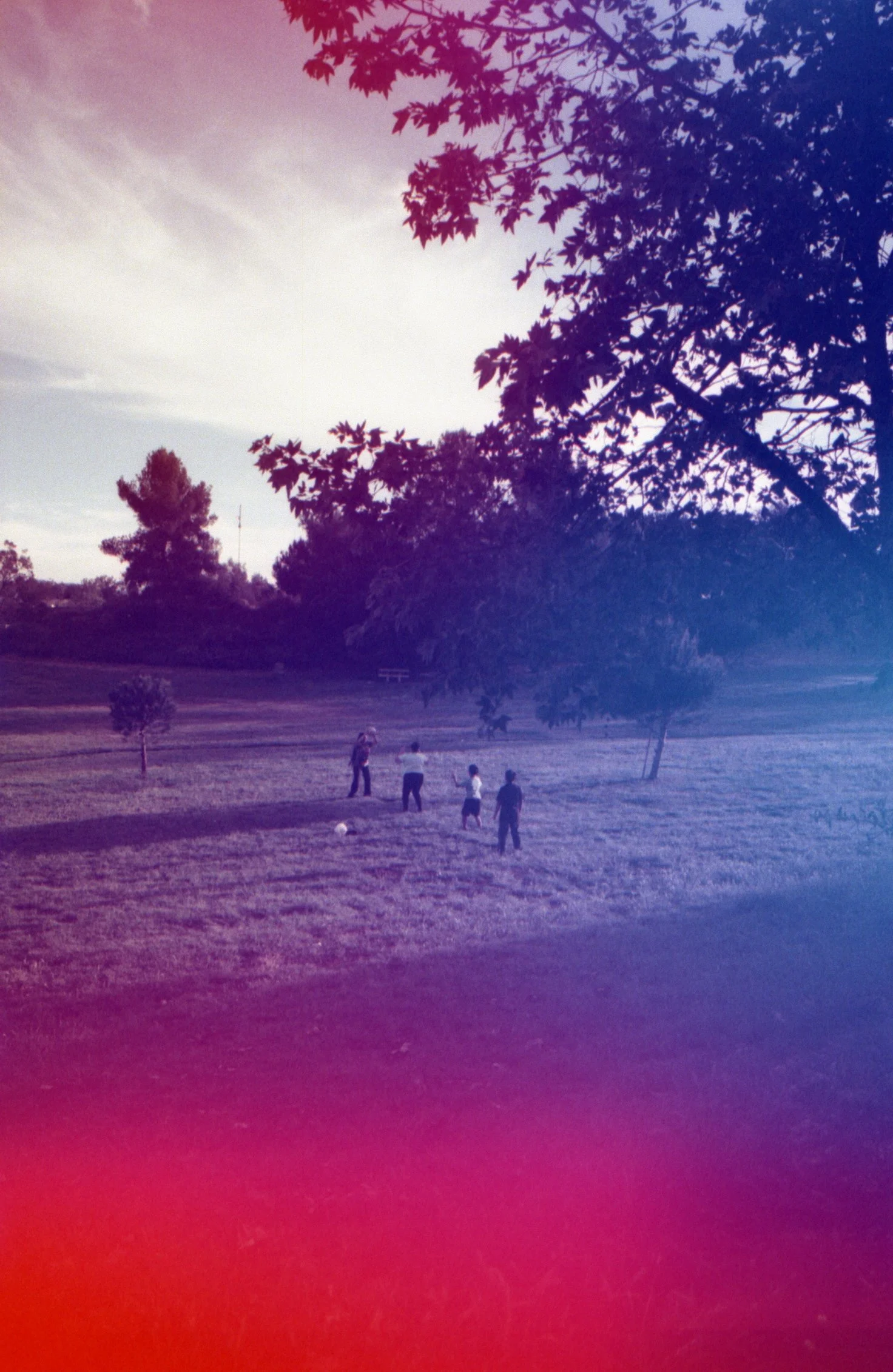 img20260417_21380532.jpg