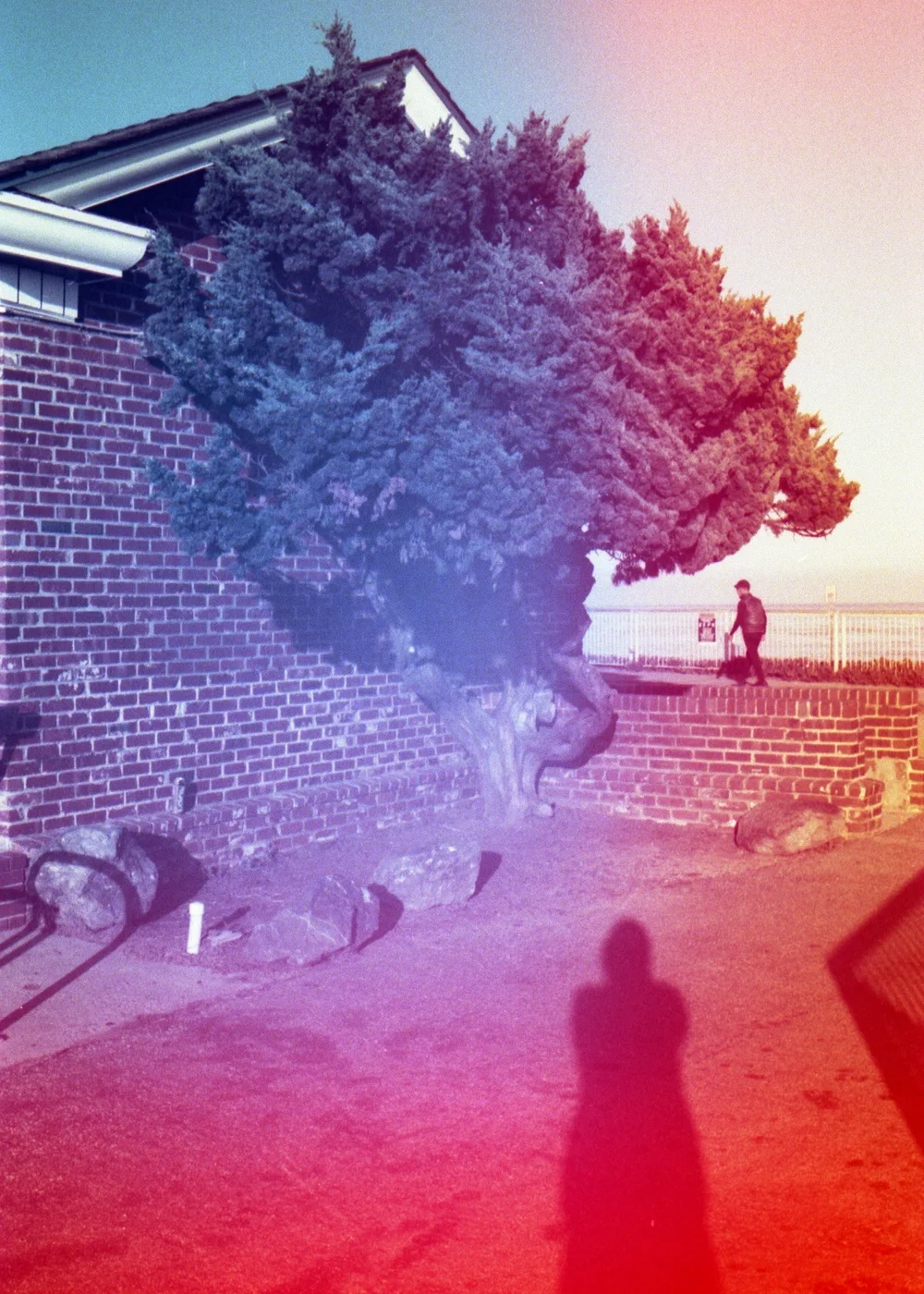 Psych Blues #8 pre-exposed 35mm experimental film photo of a brick building