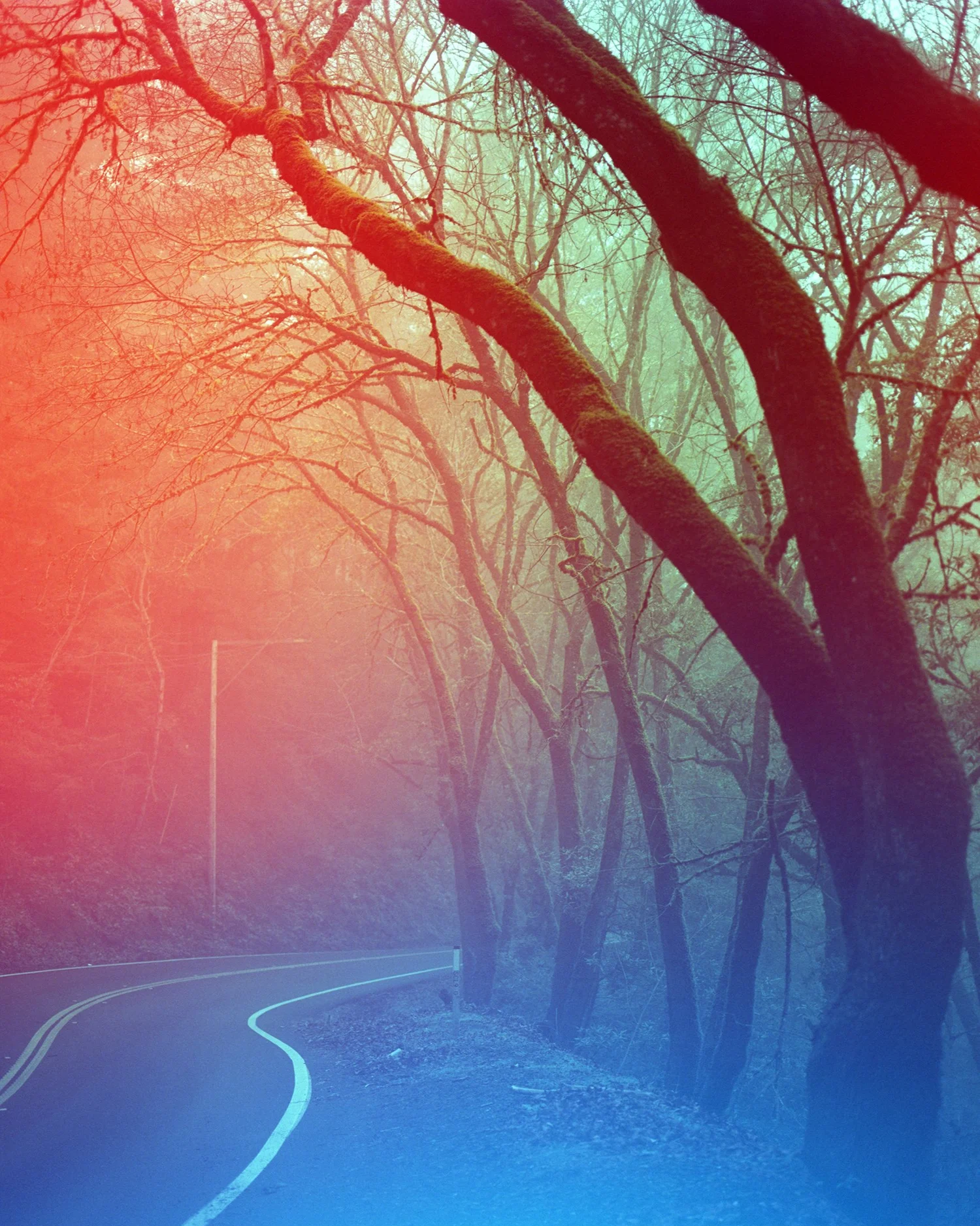 Psychedelic+Blues+A+120+experimental+film+_8.jpg.webp