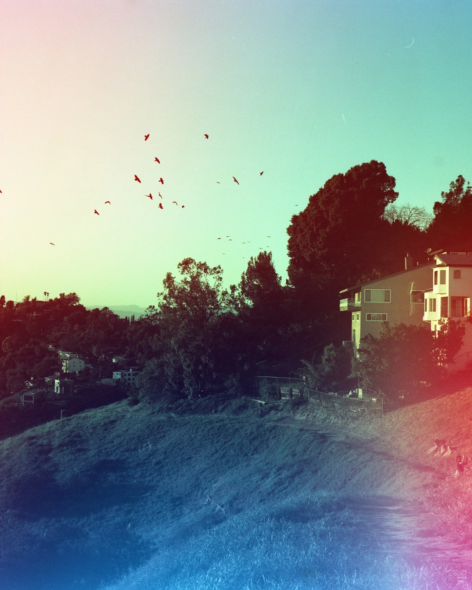 Psychedelic+Blues+A+120+experimental+film+_17.jpg.webp