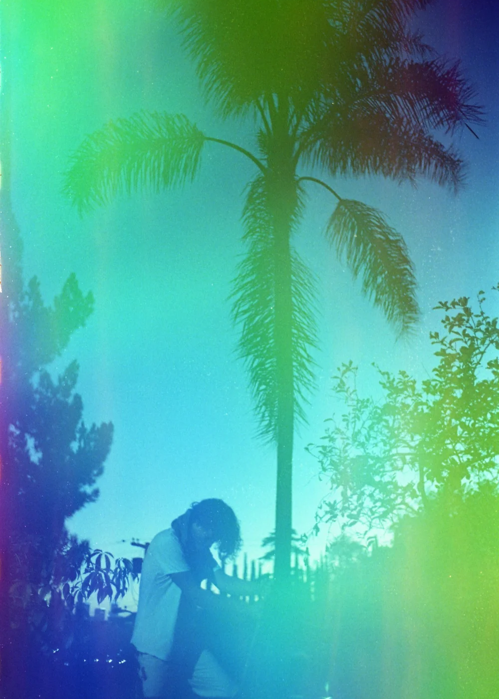 Psych Blues #4 pre-exposed 35mm experimental film photo of a palm tree
