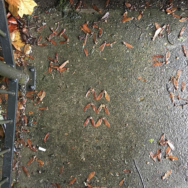 Thank you to the person who left this on the steps. I saw, and it was perfect.
#foundart