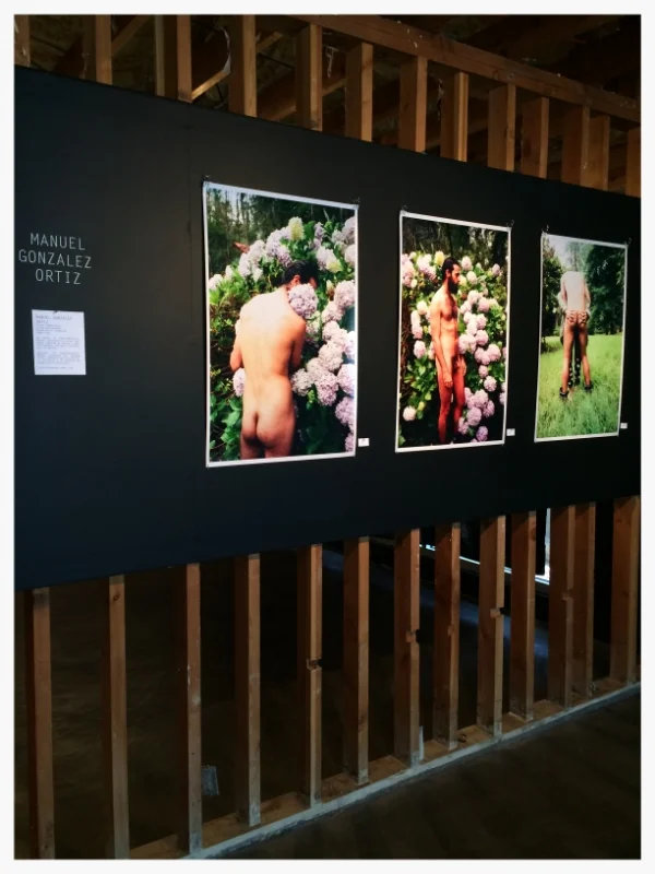 GD_gallery17.JPG