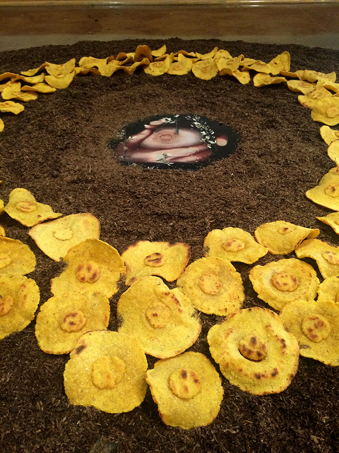   Para mamár de ella, hay que amarla a ella  [detail], 2015. Photography, corn masa, hominy, potting soil &amp; nylon.&nbsp; 