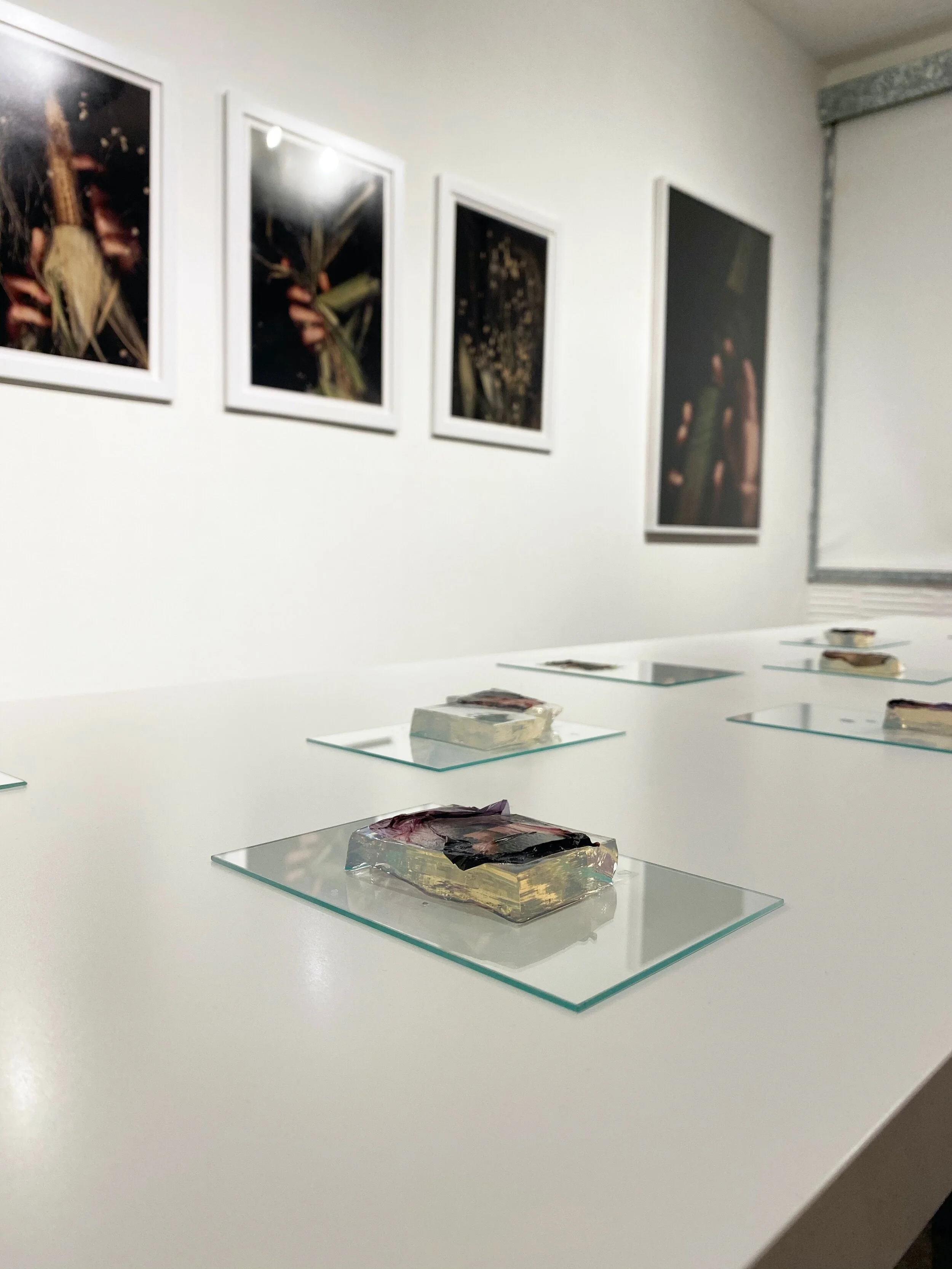 PM_install preview_after carolee.jpeg