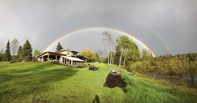 This epic #doublerainbow is for the #doublerainbowguy, Paul Vasquez.
The background sound is thunderrrrrrrr... ..
#epicrainbow #horsefly #rainstorm #thunder #lifeisbeautiful #swallows