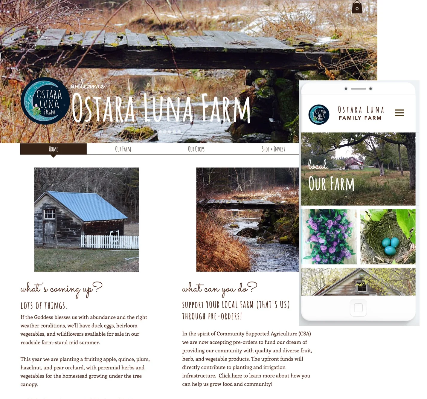 compilations_3.jpg