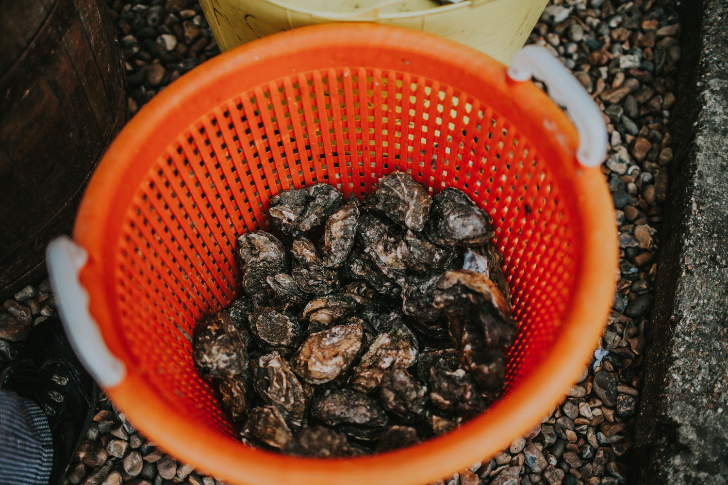 whistable_lobster_shack_wedding_061.jpg