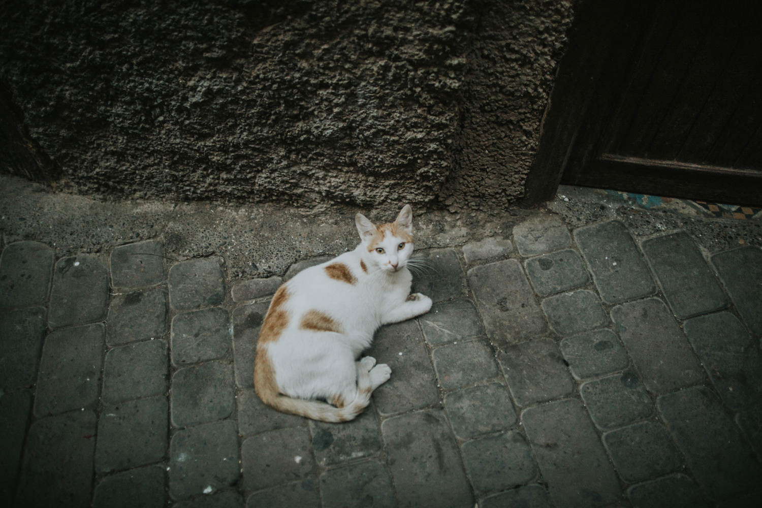 marrakech streets