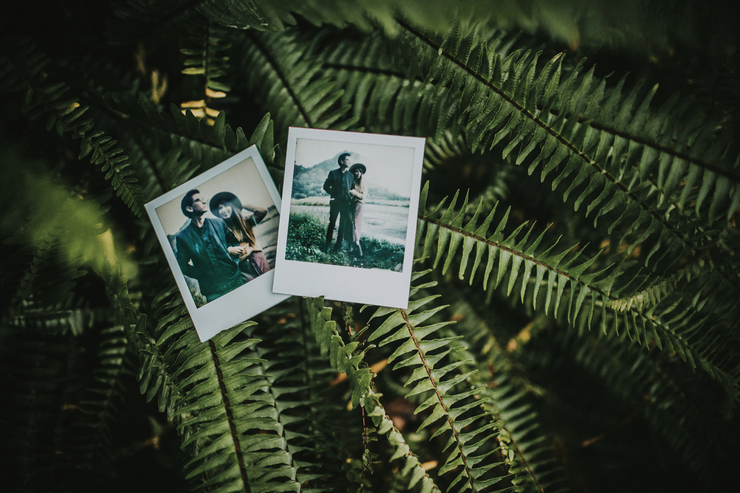 polaroid in mexico