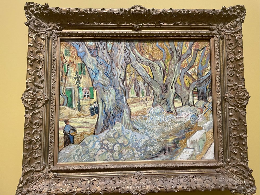 The Large Plane Trees - 1889