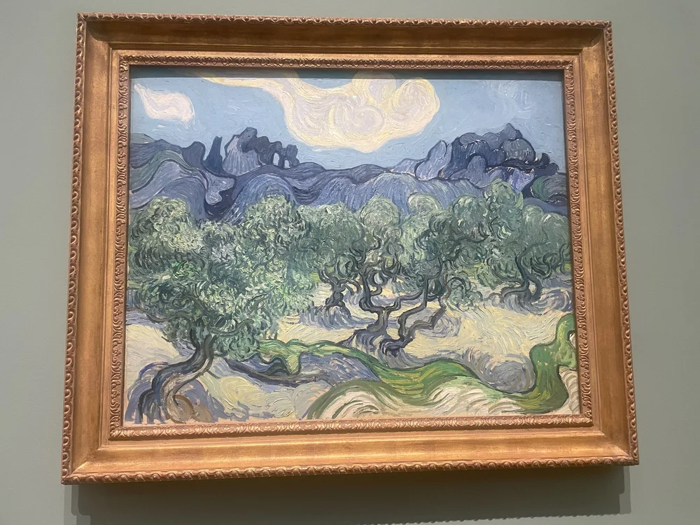 The Olive Trees - 1889