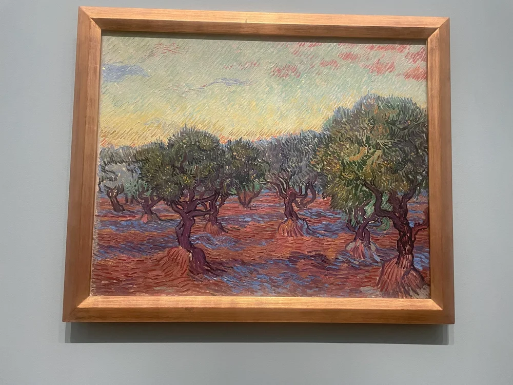 Olive Trees - 1889