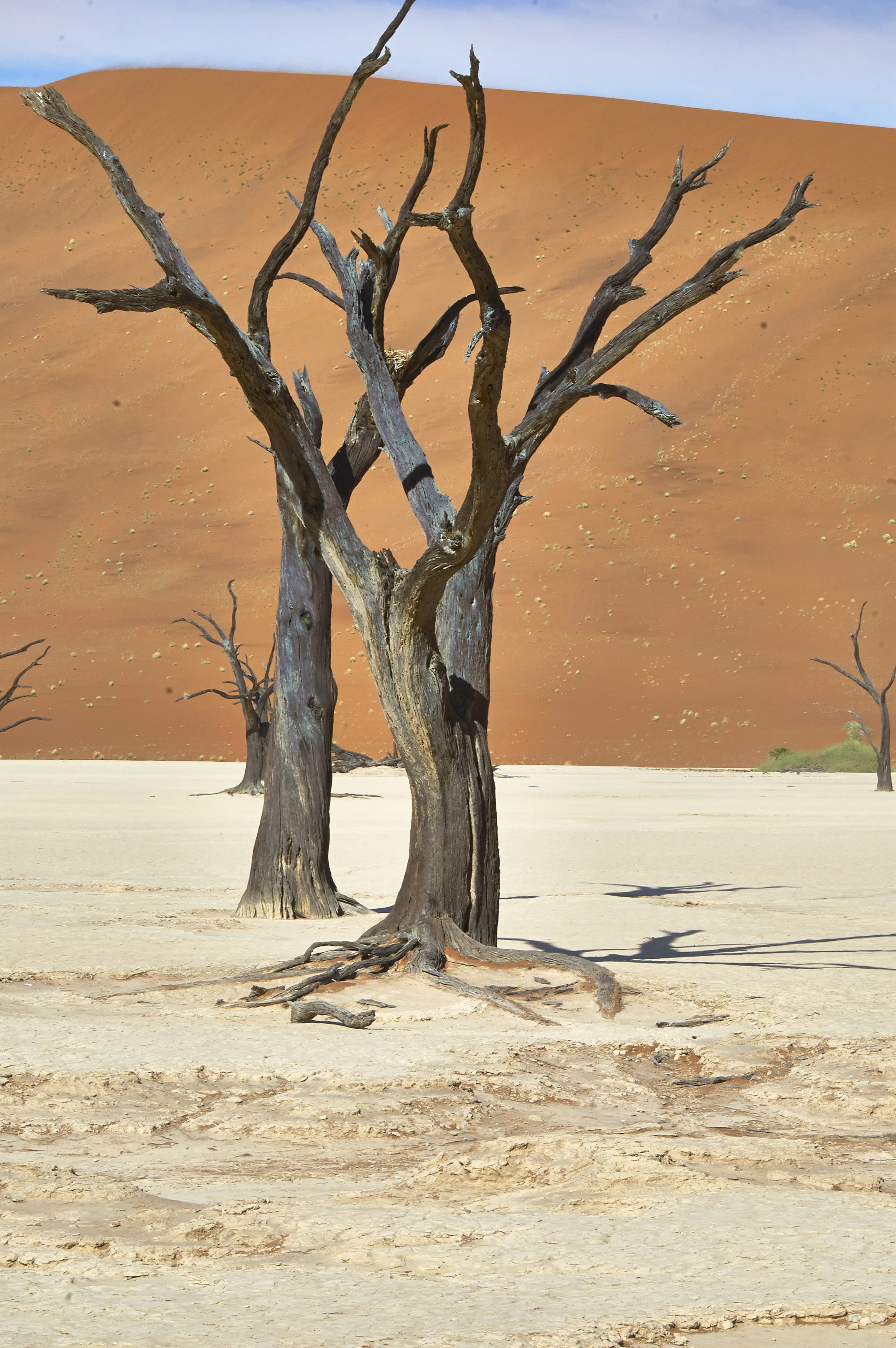 Deadvlei, Namibia