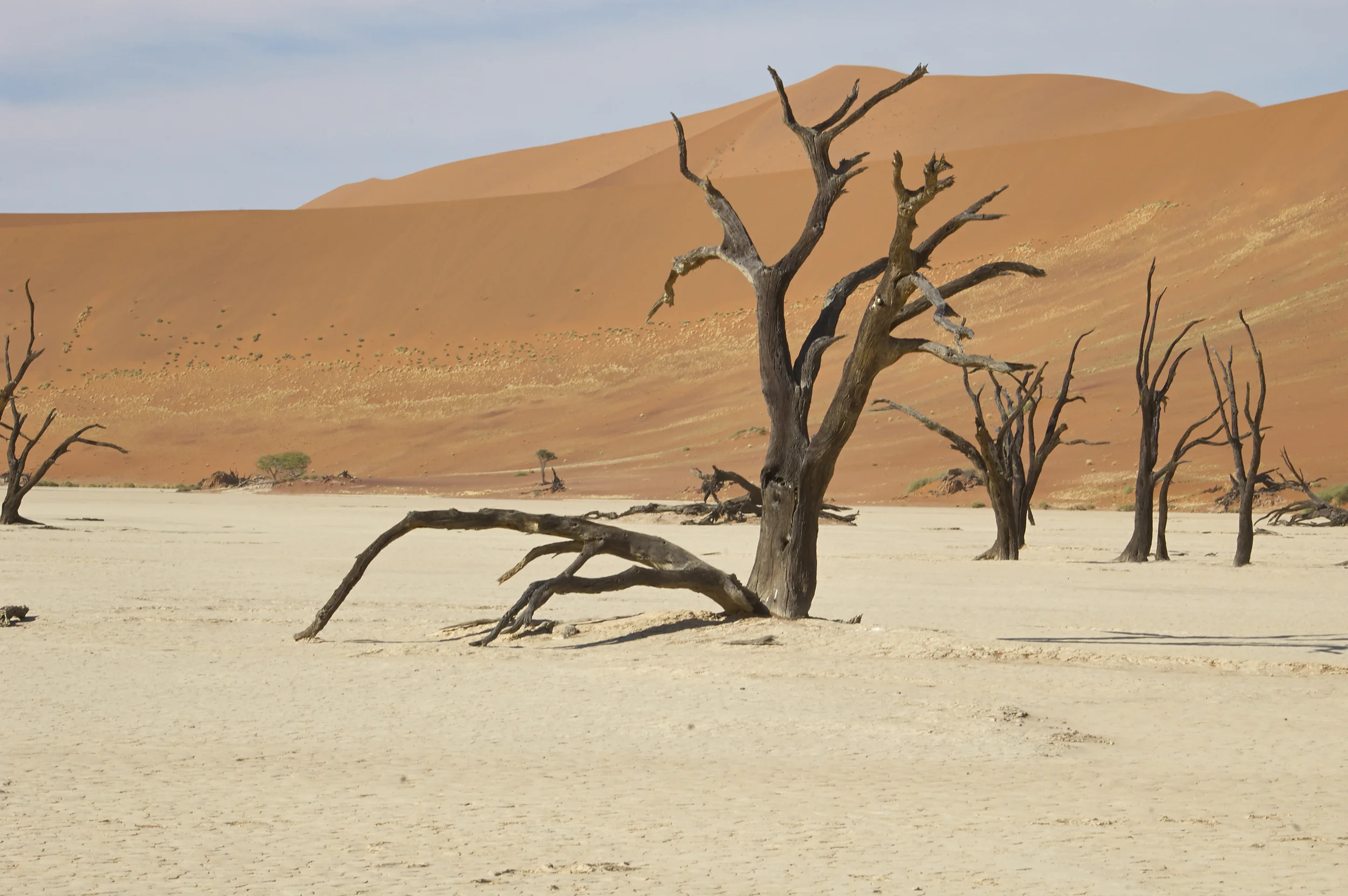 Deadvlei, Namibia