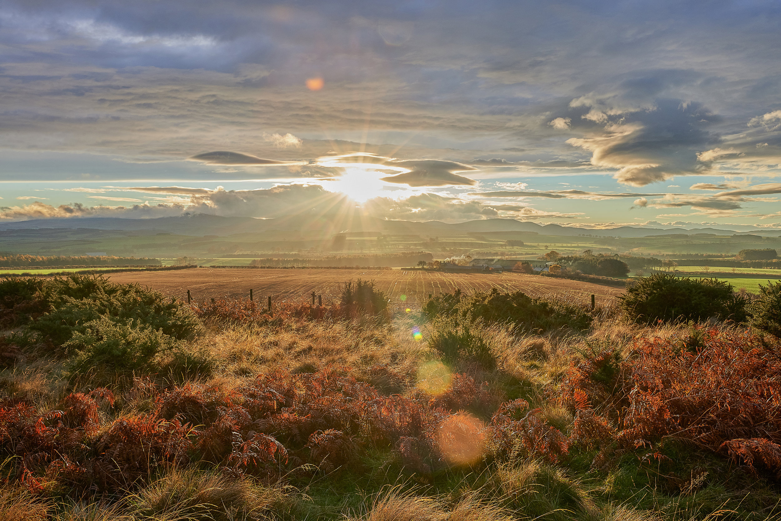 Evening Sun. Belford, Northumbria