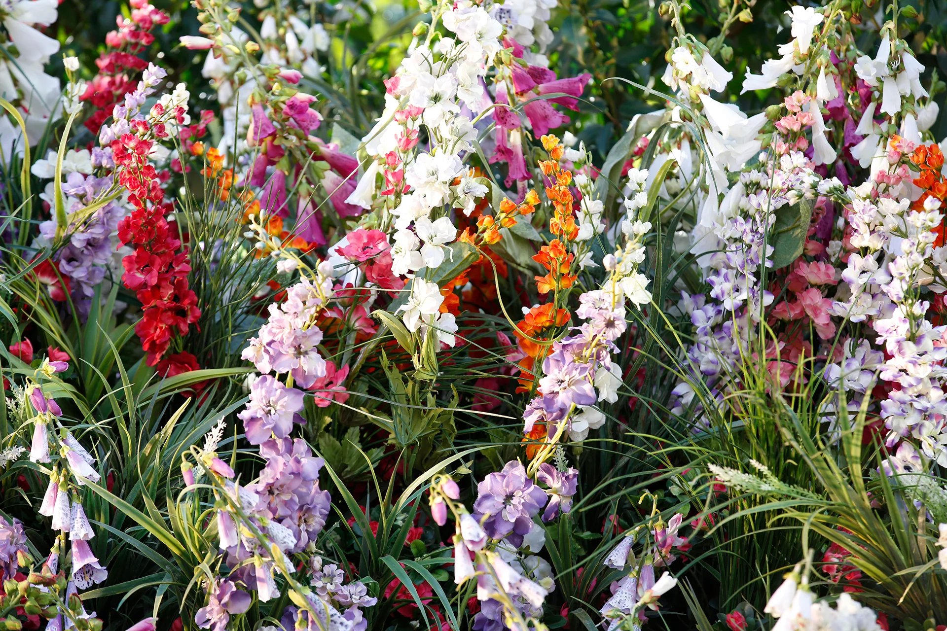 JD Williams Spring 2018 BTS TV Shoot 