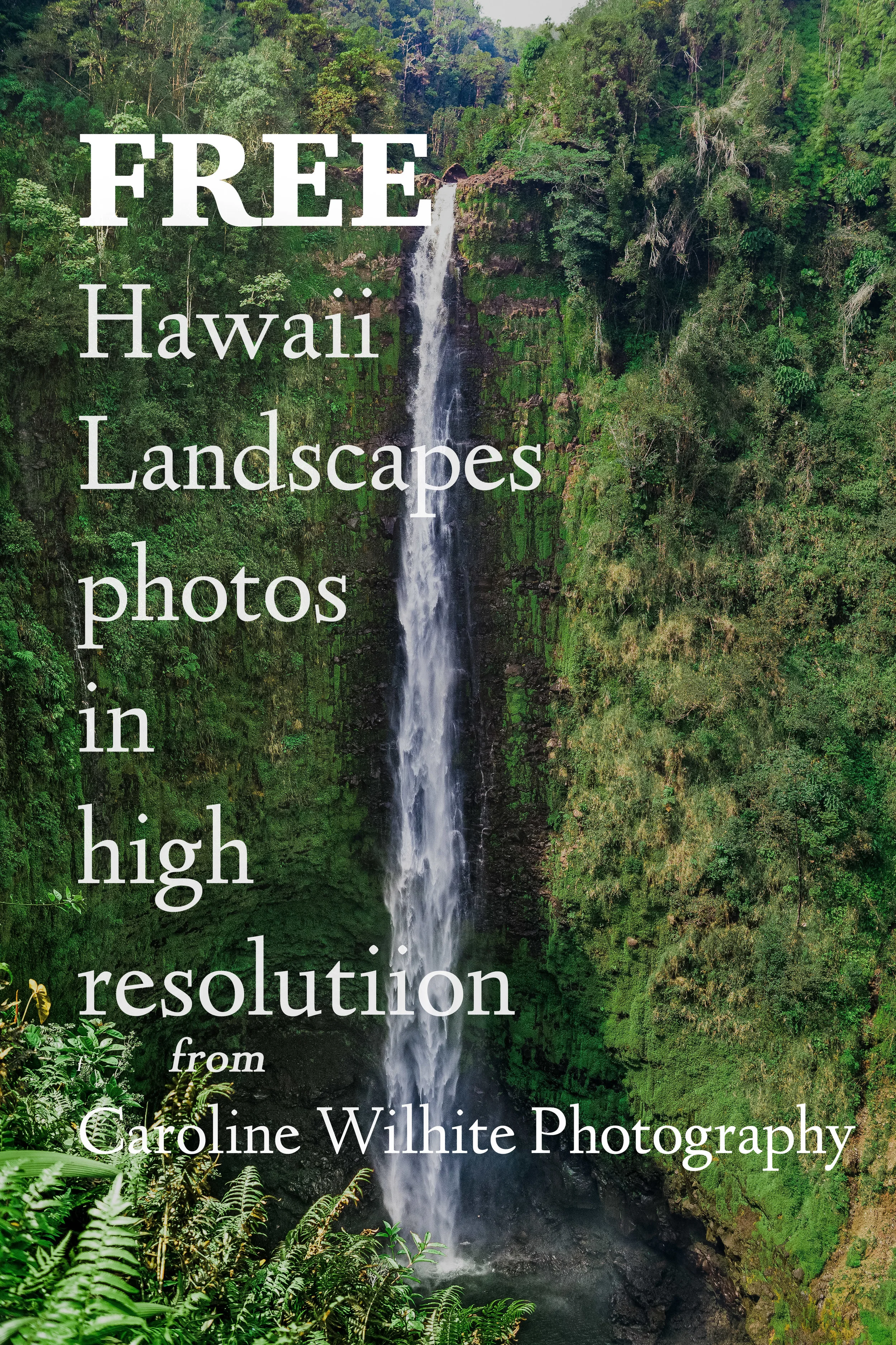 Free Hawaii Photos from Caroline Wilhite Photography