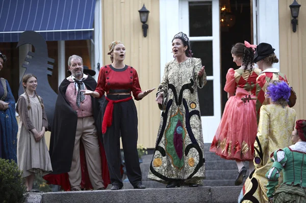 KvinnornaVillaVik58.jpg