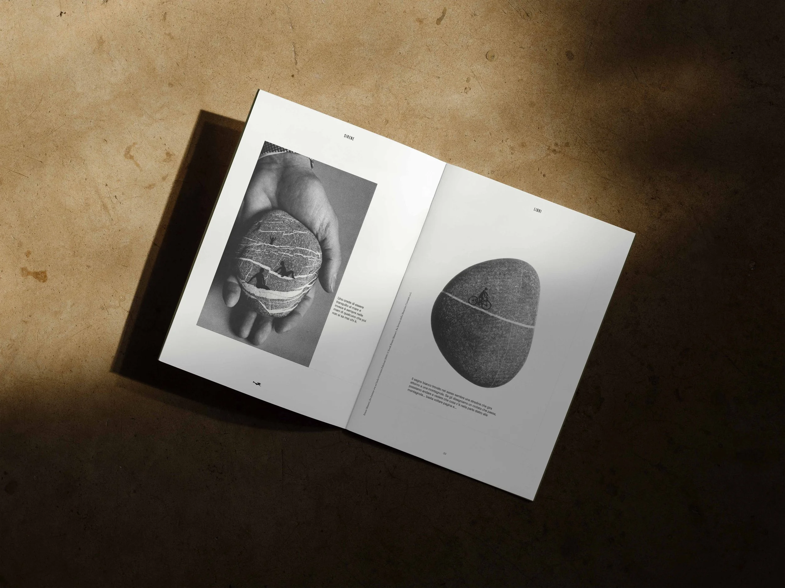 Munari.jpg