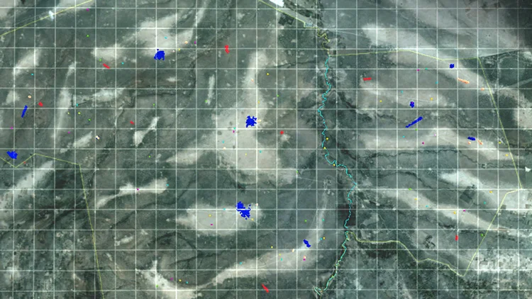 ssop_image_6.jpg