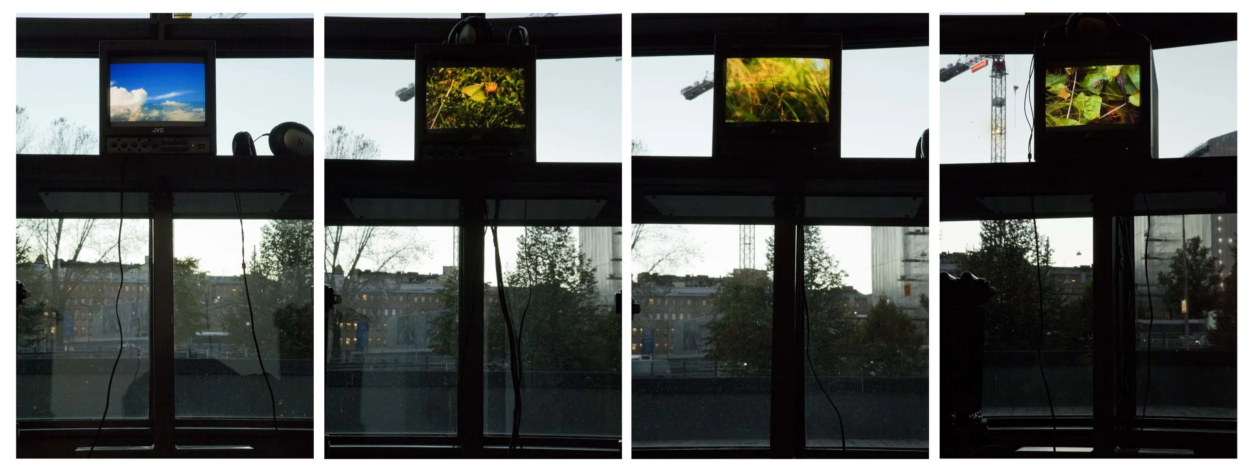Nature path: Sky, Butterfly, Wind, Wasp. Biophobia in Kiasma, October 2015.