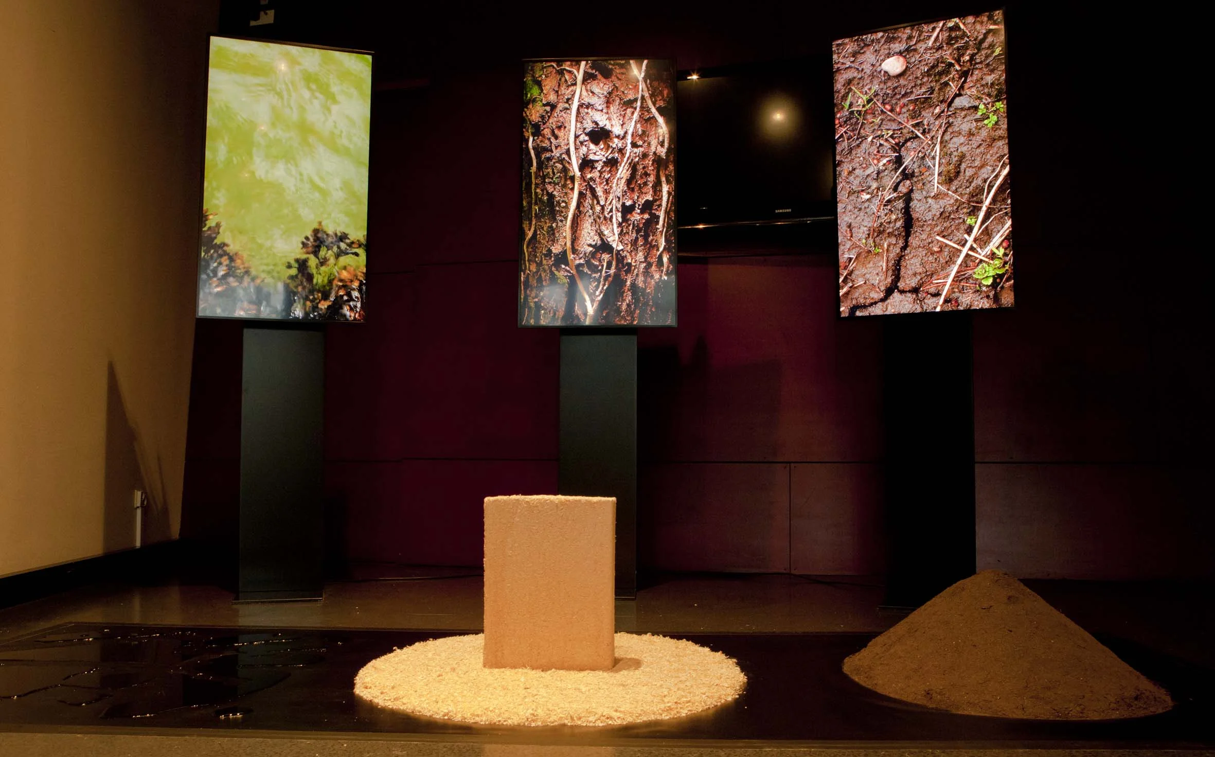 Vantage point: Water, Wood, Soil. Biosphobia in Kiasma, October 2015.